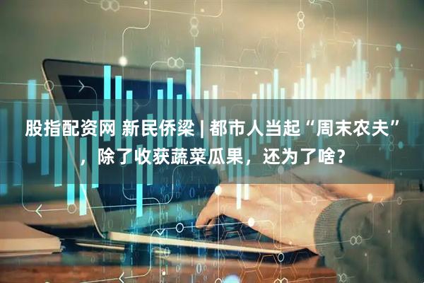 股指配资网 新民侨梁 | 都市人当起“周末农夫”，除了收获蔬菜瓜果，还为了啥？